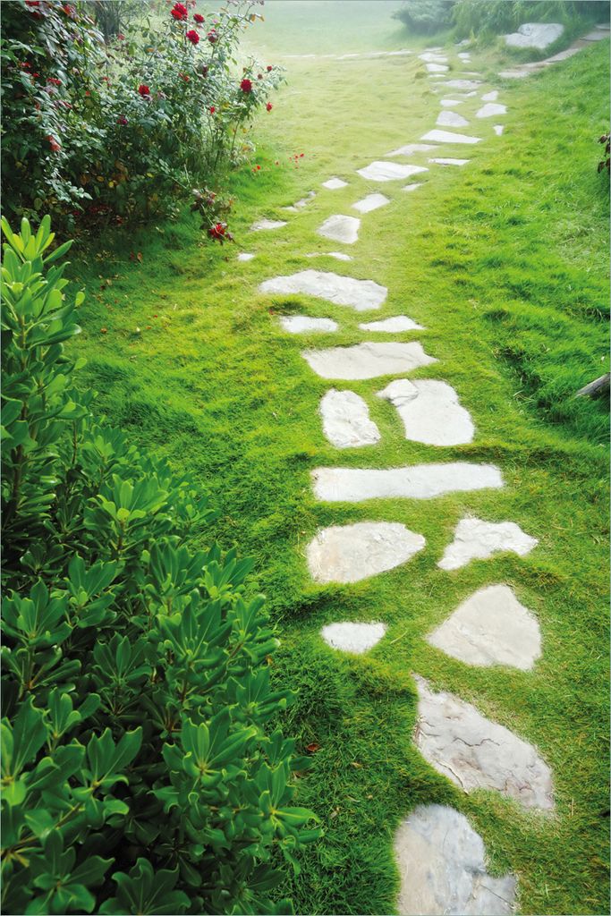 Wallario selbstklebendes Poster - Steinweg im Grünen, Größe: 61 x 91,50 cm