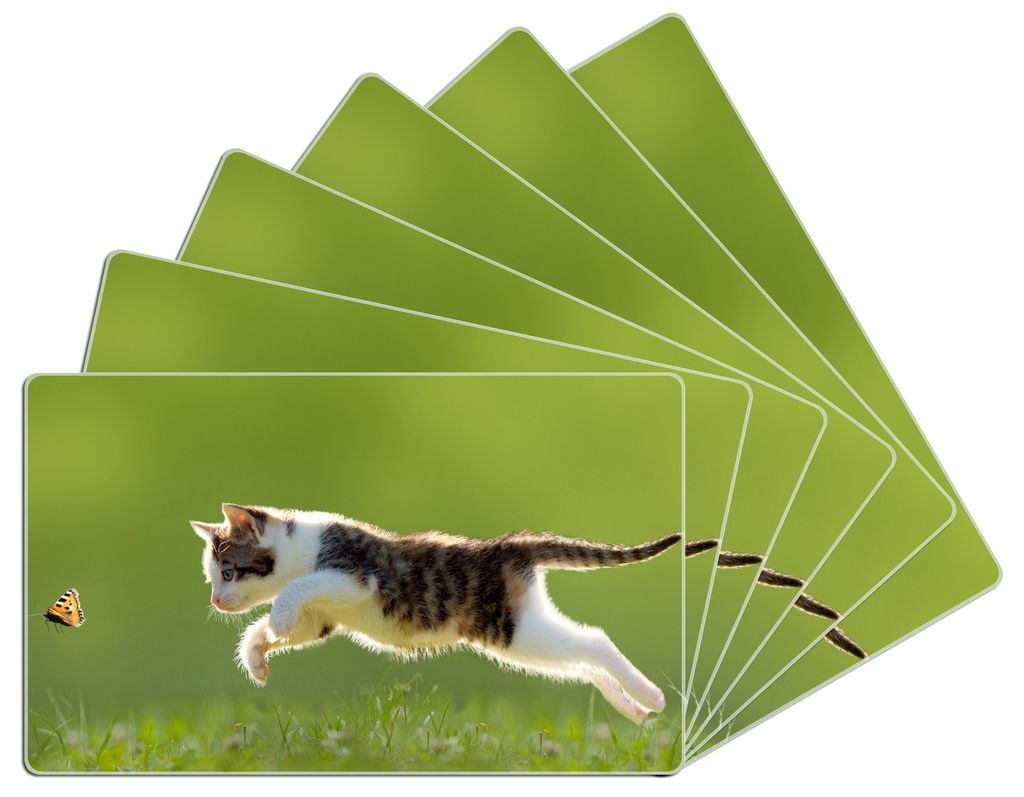 Wallario Frühstücksbrettchen 6er Set aus Glas, je 14 x 23 cm, mit rutschfesten Füßen, Motiv Süße Katze fängt Schmetterling im Grünen