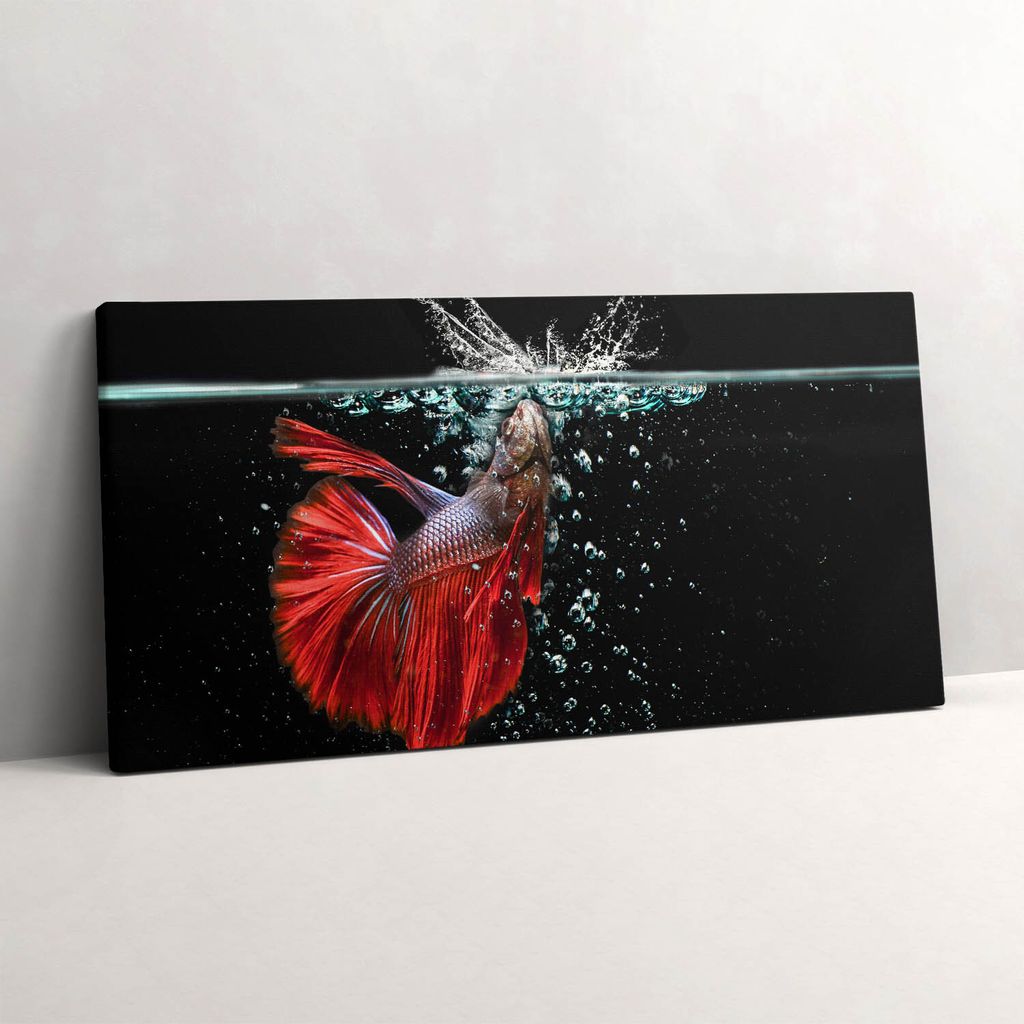 Fisch im Aquarium – Leinwandbild Wandbild – 120x60 cm – Leinwandbilder – Wandbilder – Schlafzimmer – Flur