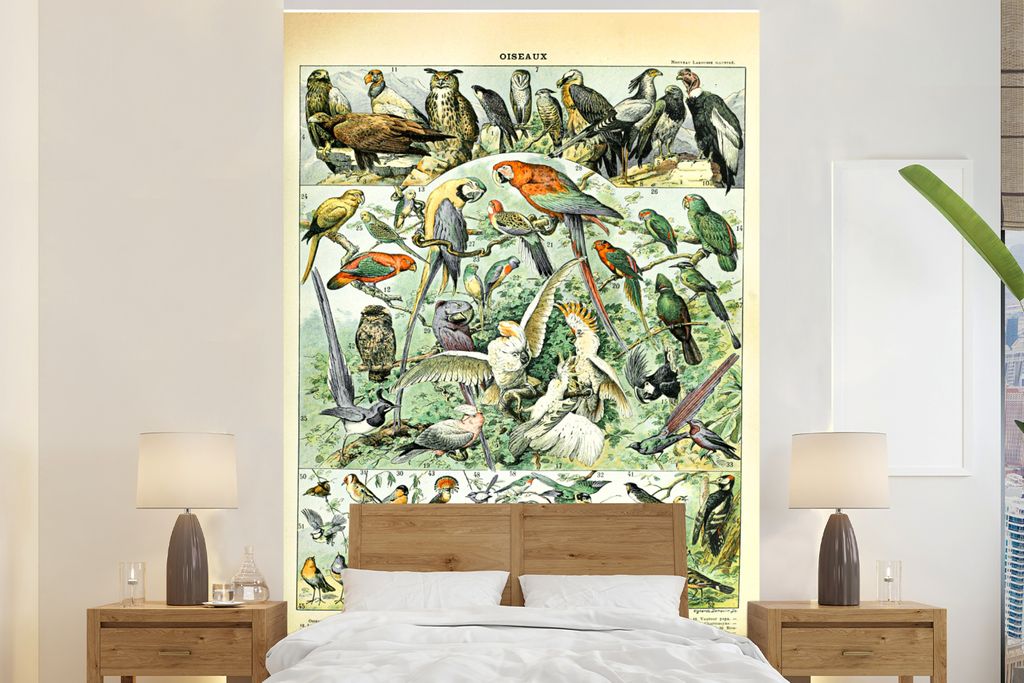 MuchoWow Fototapete für Wohnzimmer oder Schlafzimmer Wandtapete Vinyl Motivtapete Tiere - Vintage - Adolphe Millot - Vögel - Design - 195x300 c...