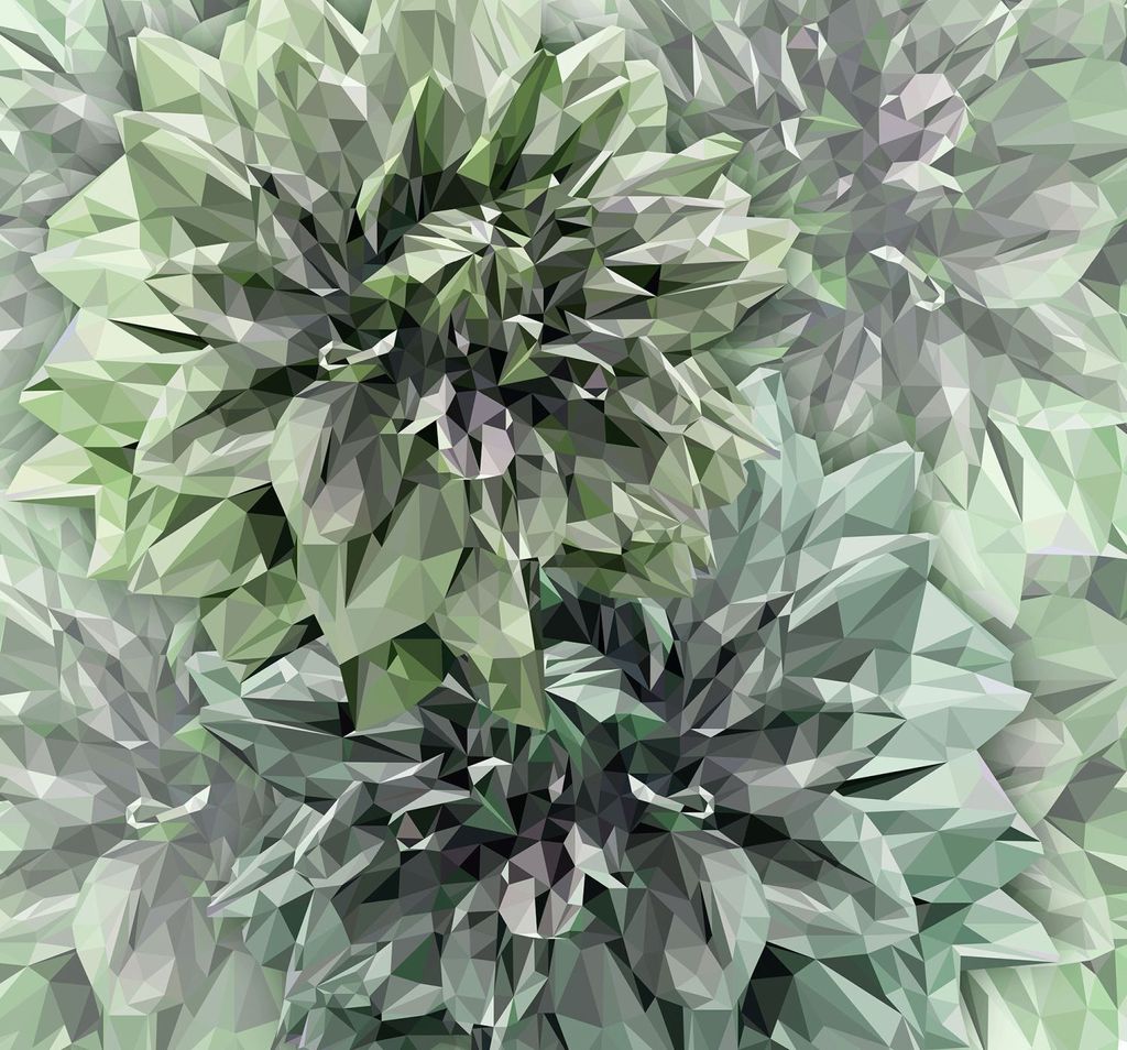 Sanders & Sanders Fototapete künstlerisch Grün 300 x 280 cm