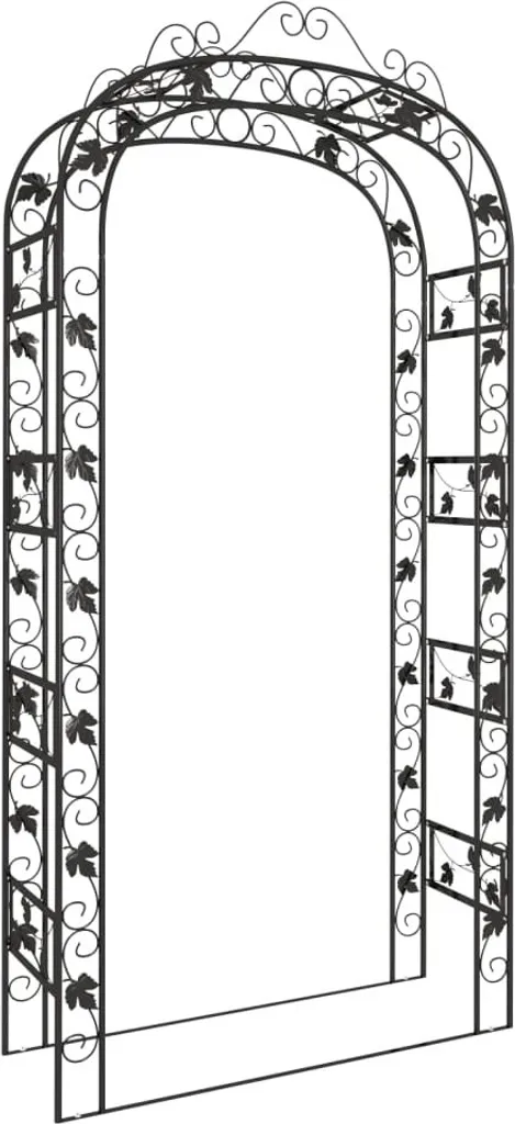 Arche de jardin en métal noir 116x45x240 cm support pour plantes vidaXL