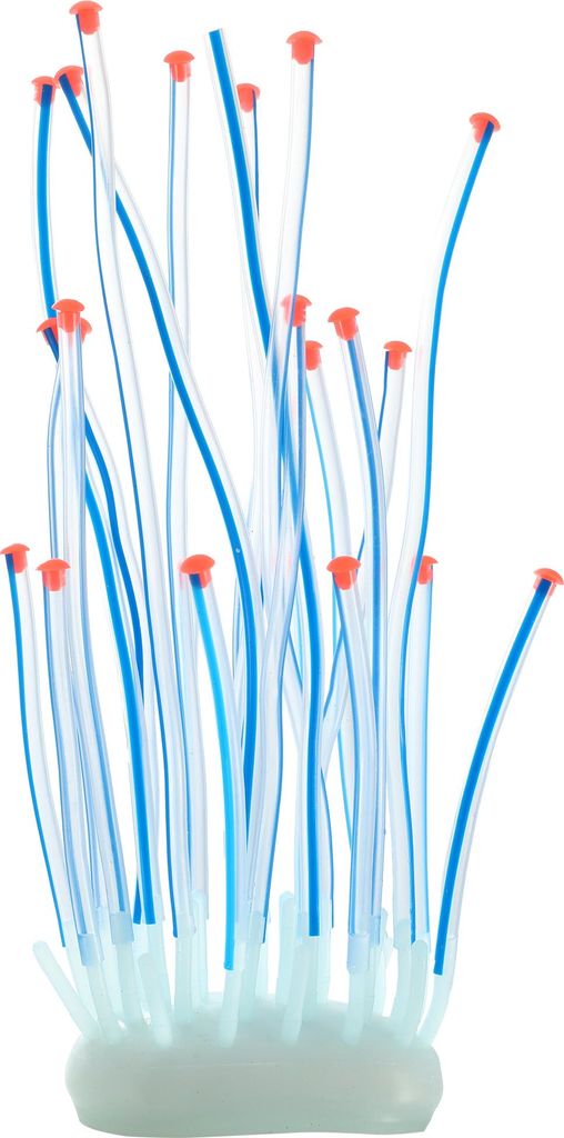 Aquarium Simulation Korallenseeigel aus Silikon Blau