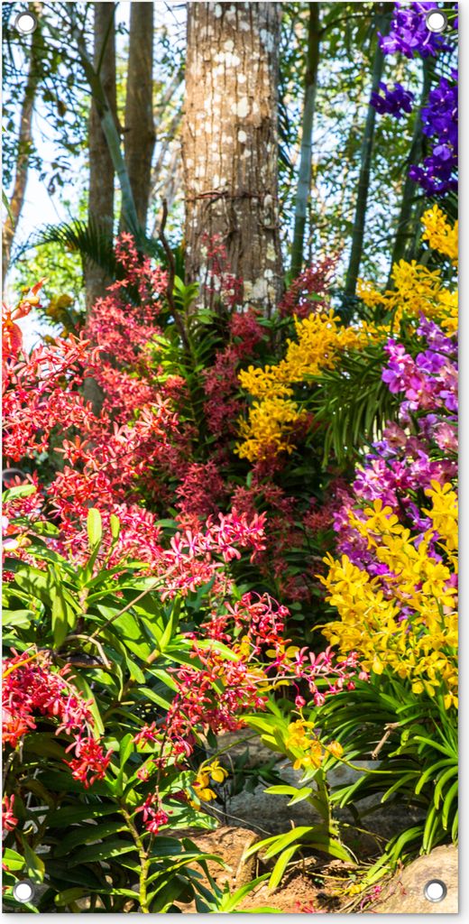 MuchoWow 40x80 cm Outdoor-Poster Gartendeko Sichtschutz Garten Poster für den Garten Blumen - Regenbogen - Wald - Jahreszeiten