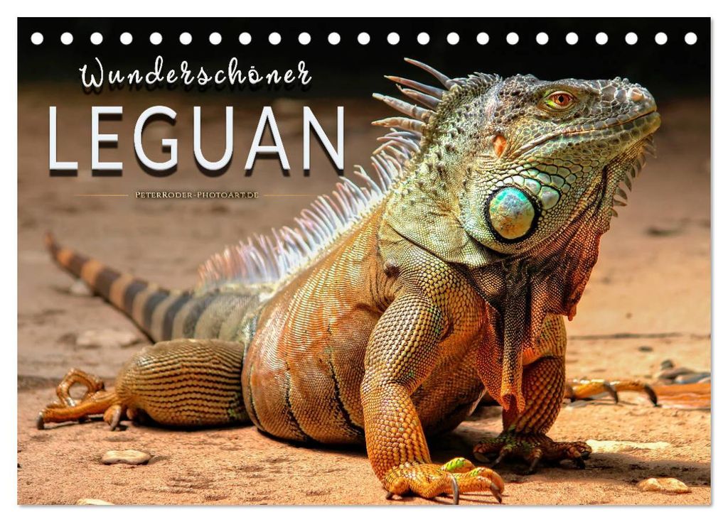 Wunderschöner Leguan (Tischkalender 2027 DIN A5 quer), CALVENDO Monatskalender