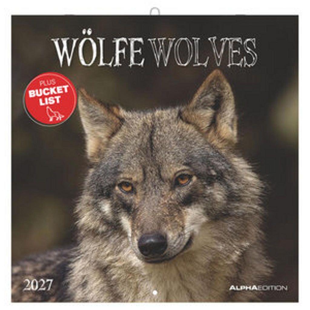 Wölfe 2027: Wandkalender, 30x30 cm (30x60 cm open), met Productafbeelding 