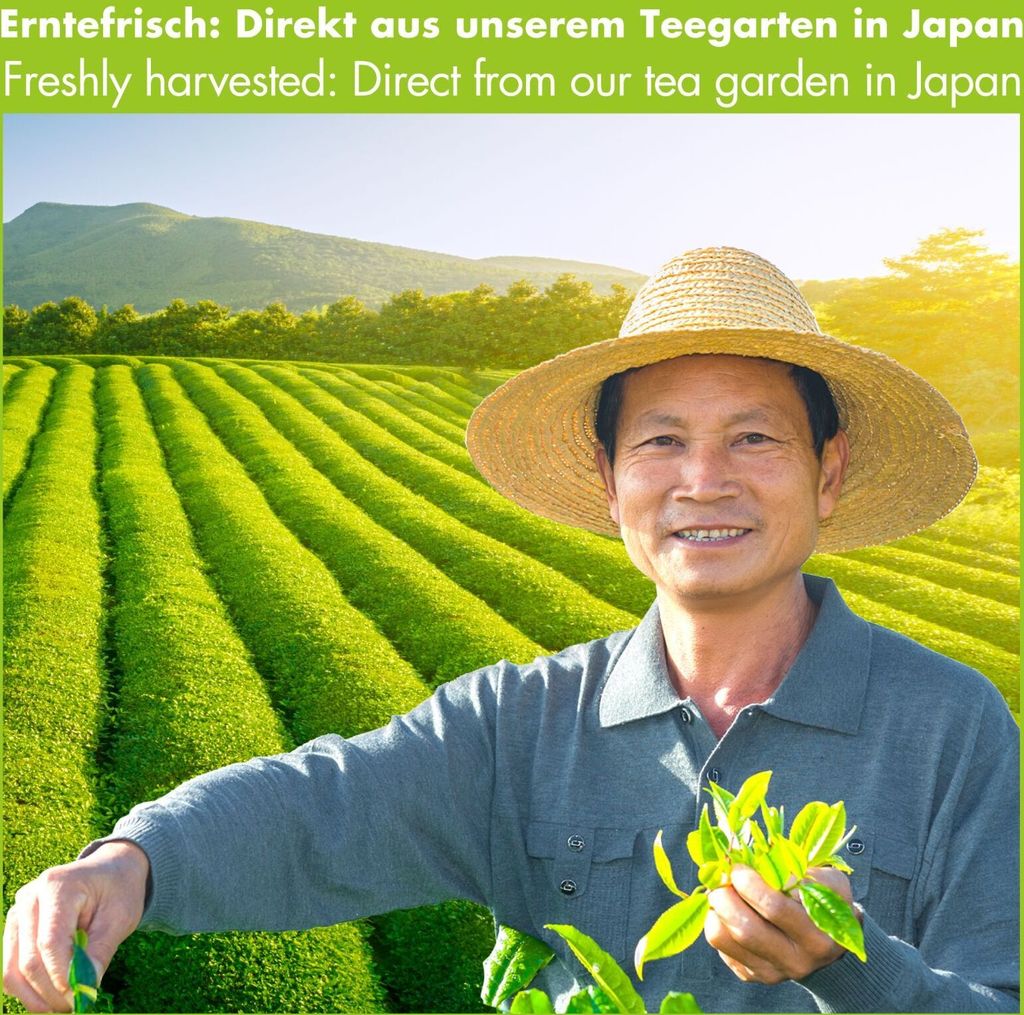Japonský zelený čaj Matcha Premium 200g - 100% organická Obrázok produktu 4