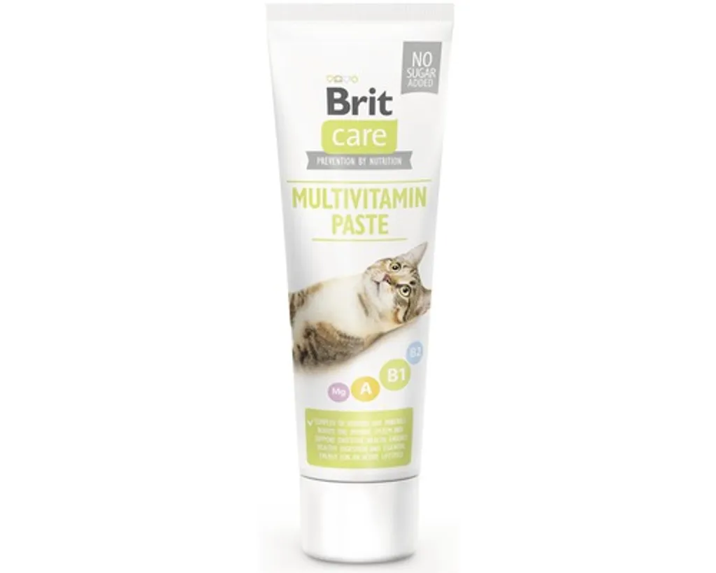 Brit BRIT CARE CAT PASTA MULTIVITAMIN 100G