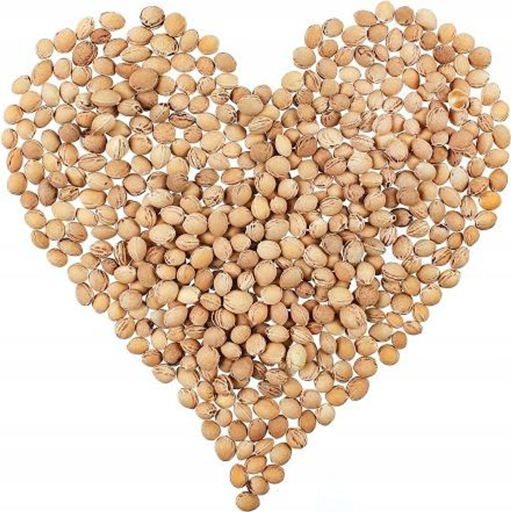 Kirsche Stein - 10Kg