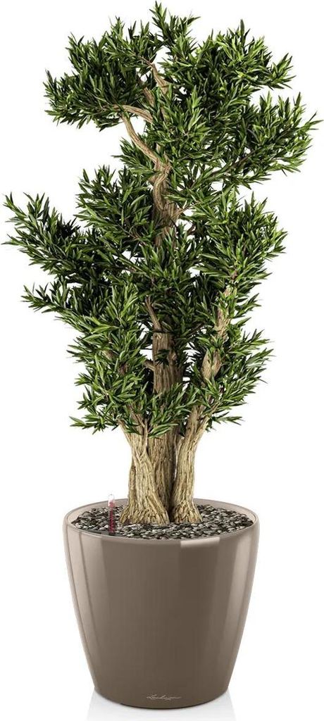 Lechuza - Jardinières pour l'extérieur