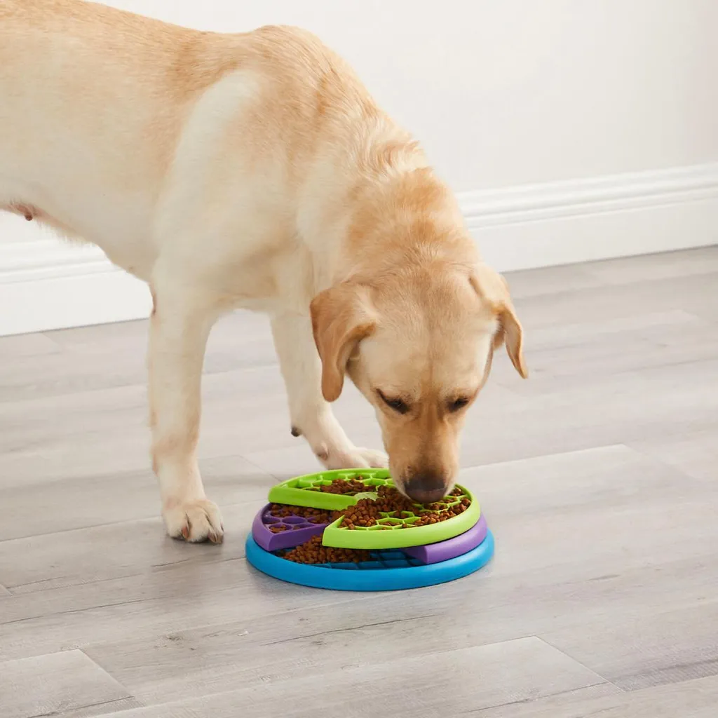 Nina Ottosson Lickin' Layers - Il Puzzle Feeder per Cani che non si Fermano Mai - 3