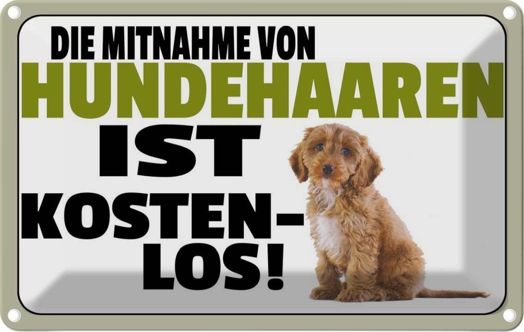 vianmo Blechschild 12x18 cm Mitnahme Hundehaaren Warnschild Hinweisschild Sicherheit Vorsicht