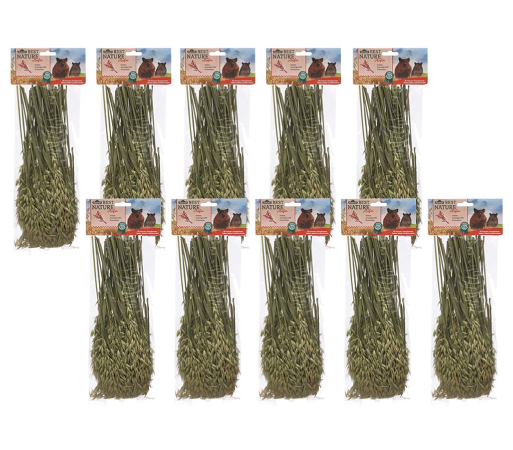 Dehner Best Nature Nagersnack, Knabberhalme 100 % natürlich, für Zwergkaninchen / Nager, Hafer, 10 x 75 g (750 g)
