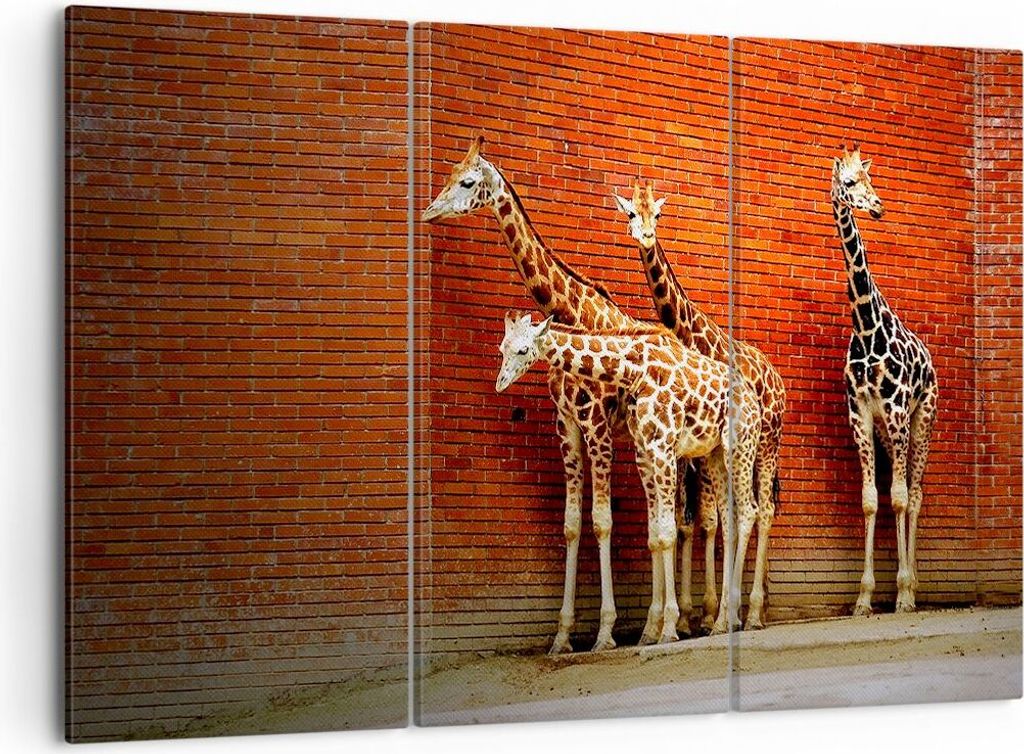 Bild auf Leinwand - Leinwandbild - Tiere Giraffen Zoo Familie - 105x70cm - Wand Bild - Wanddeko - Leinwanddruck - Bilder - Kunstdruck - Wanddekorat...