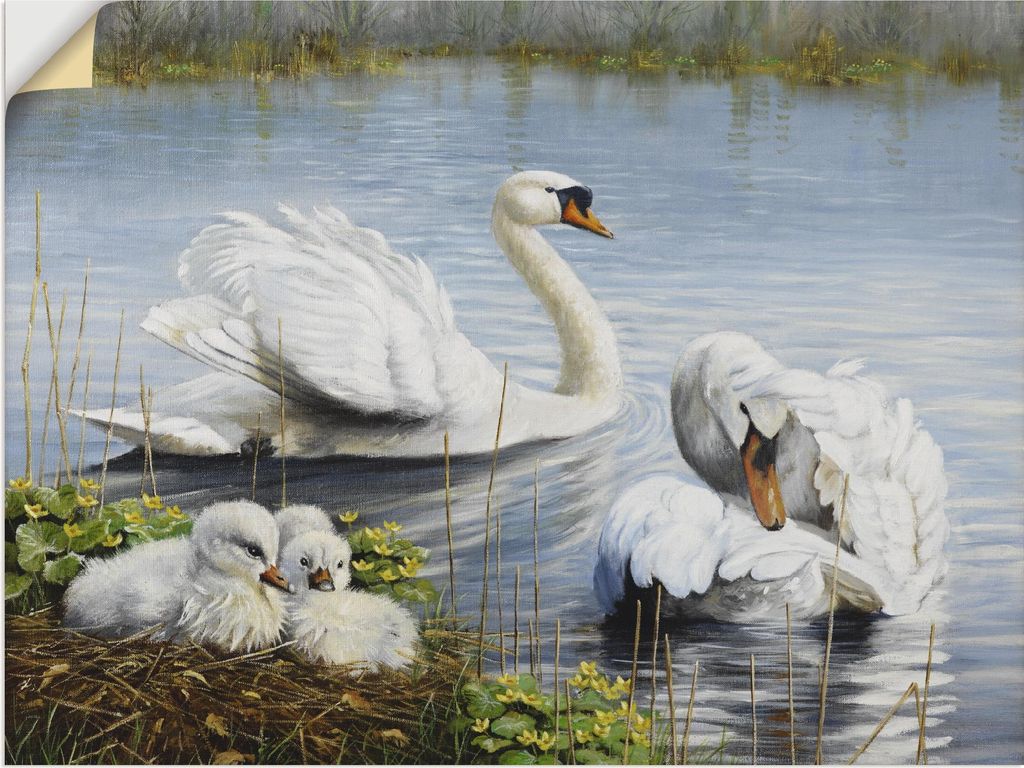 ARTland Wandbild, selbstklebend Schwäne und ihre Küken Größe: 80x60 cm