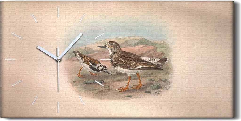 Leinwand Uhr Küche Wohnzimmer Bild 60x30 Vögel Wild Tiere Zeichnung Kunst - weiße Hände