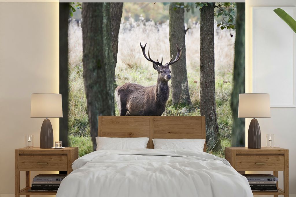 MuchoWow Fototapete für Wohnzimmer oder Schlafzimmer Wandtapete Vinyl Motivtapete Hirsche - Bäume - Gras - 240x240 cm - Schlafzimmer-Tapete