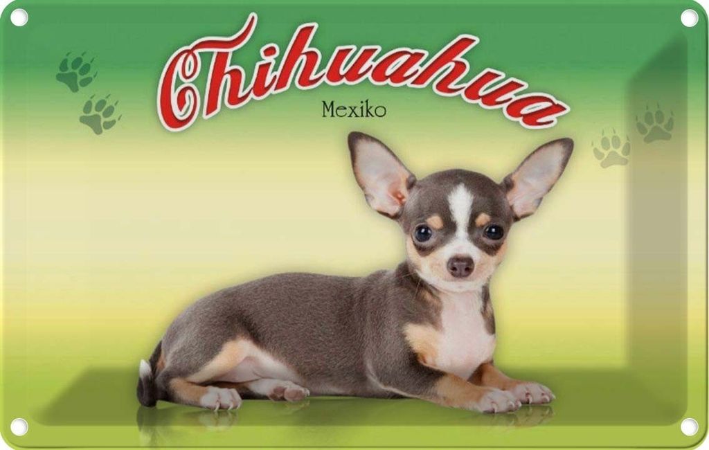 vianmo Blechschild 20x30 cm Hund Chihuahua Mexiko Tier Haustier