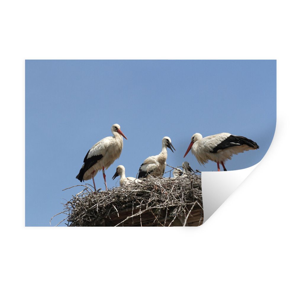 MuchoWow Wandtattoo Wandsticker Wandaufkleber Nest von Störchen eingefangen 60x40 cm Selbstklebend und Repositionierbar - Wierderverwendbar - Se...