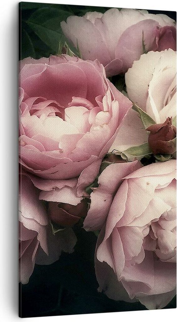 Bild auf Leinwand - Leinwandbild - Pfingstrose Blume - 45x80cm - Wand Bild - Wanddeko - Wandbilder - Leinwanddruck - Bilder - Kunstdruck - Wanddeko...