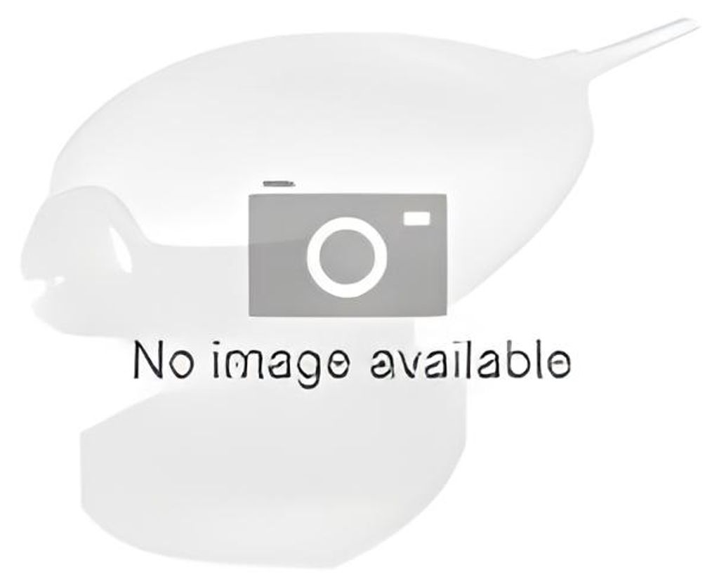 A placeholder image with a camera icon and text indicating no image is available.