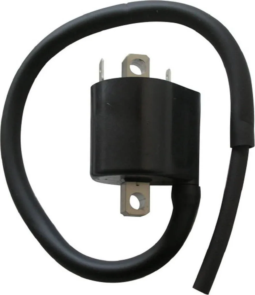 Bobina SGR 12V 3.6 Ohm per Moto d'Epoca e Classiche | Cavo 35 cm
