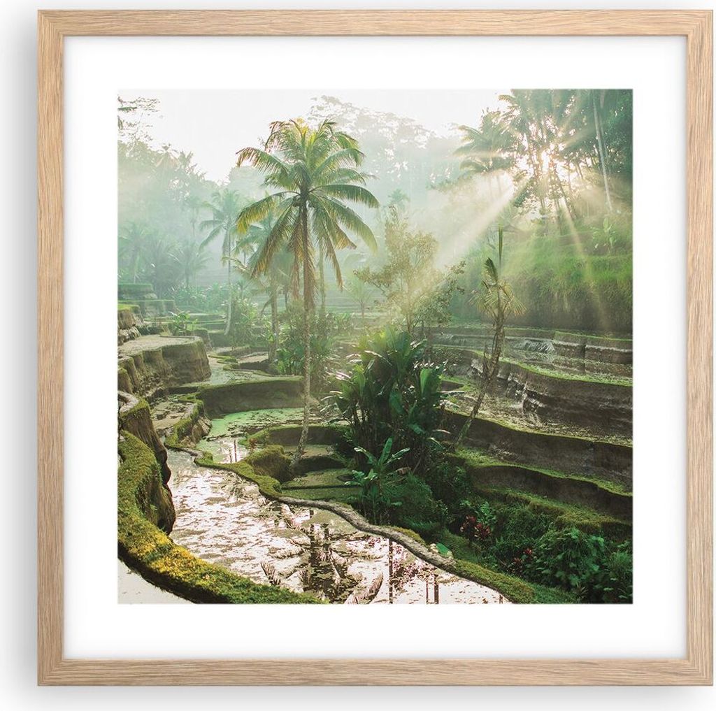 Gerahmtes Poster - Rahmen in heller Eiche - Terrassen Reis Palmen - 40x40 cm - Wand Bild - Wanddeko - Wandbilder - Kunstposter - Wandposter - Bilde...