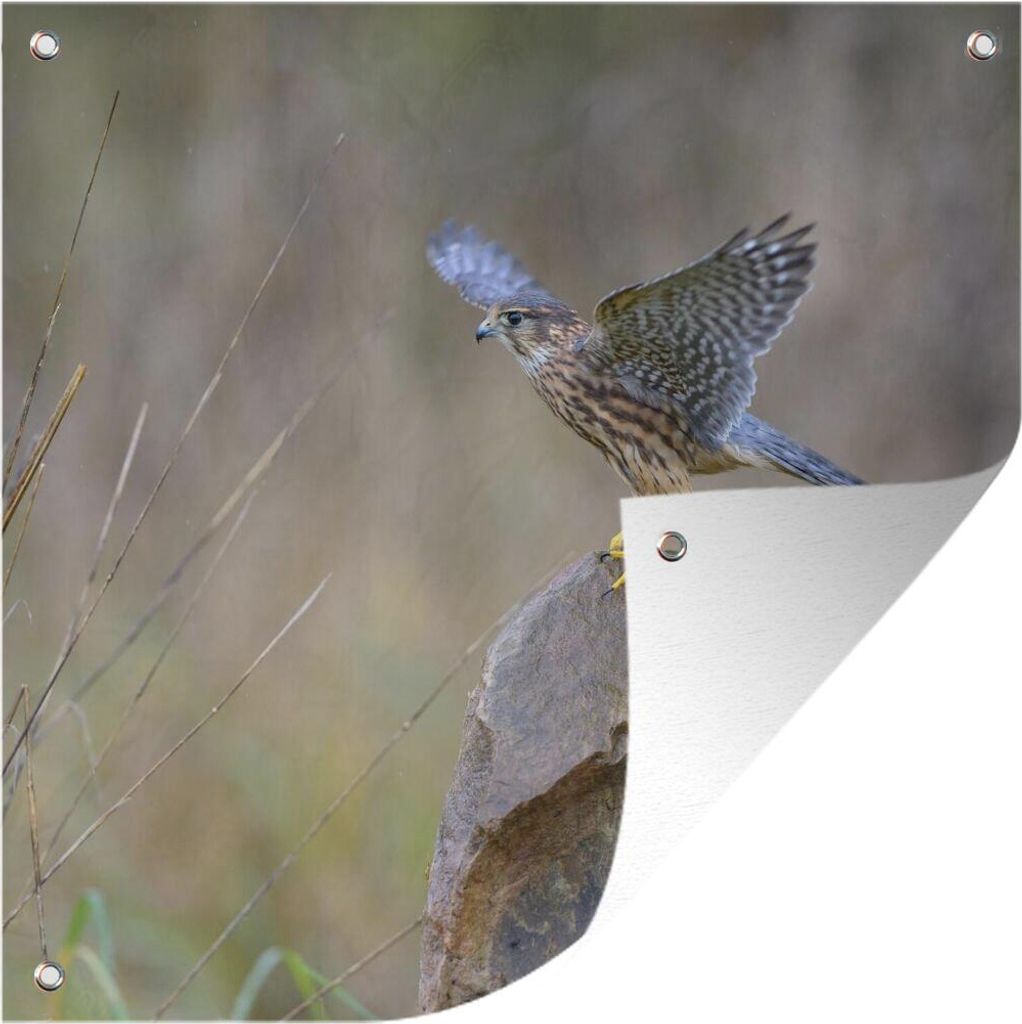 MuchoWow 50x50 cm Outdoor-Poster Gartendeko Sichtschutz Garten Poster für den Garten Merlin schlägt mit den Flügeln