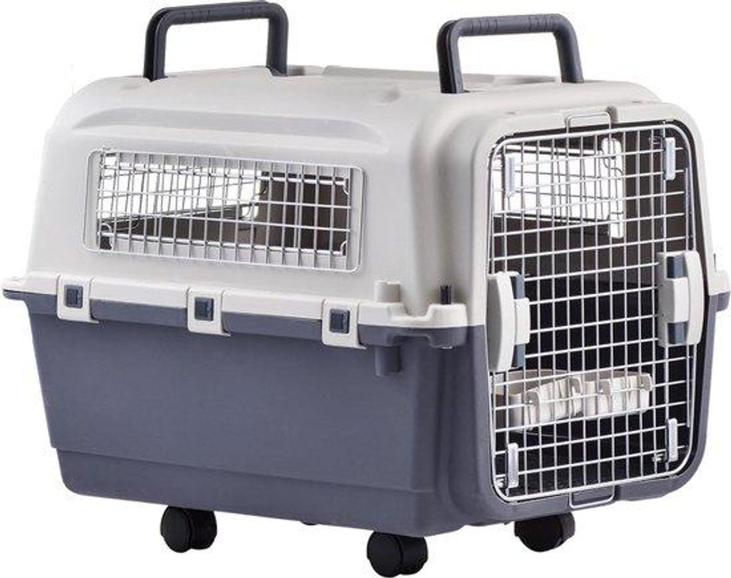 Hunde- und Katzenreisebox für sicheres Transportieren