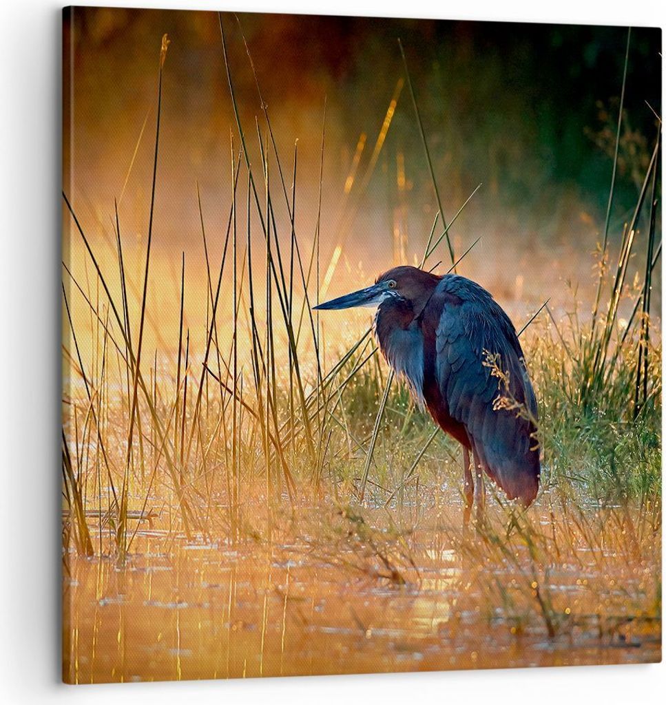 Bild auf Leinwand - Leinwandbild - Vogel Natur Wasser - 60x60cm - Wand Bild - Wanddeko - Wandbilder - Leinwanddruck - Bilder - Kunstdruck - Wanddek...