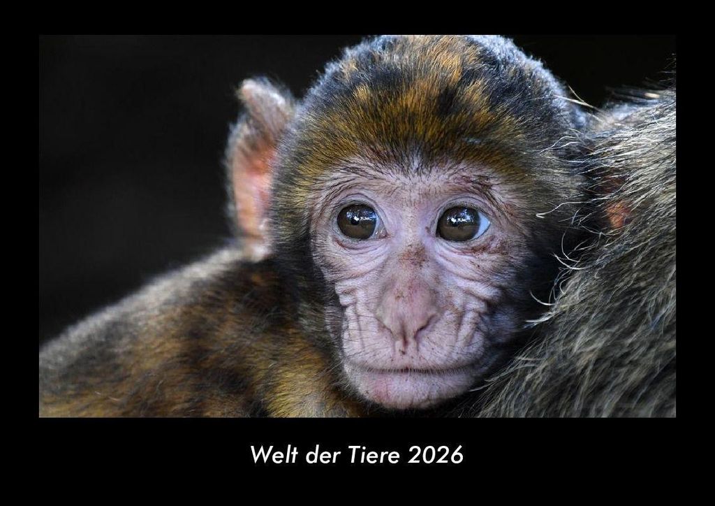 Welt der Tiere 2026 Fotokalender - Querformat DIN A3, Monatskalender mit Bild-Motiven von Haustieren, Bauernhof, wilden Tieren und Raubtieren