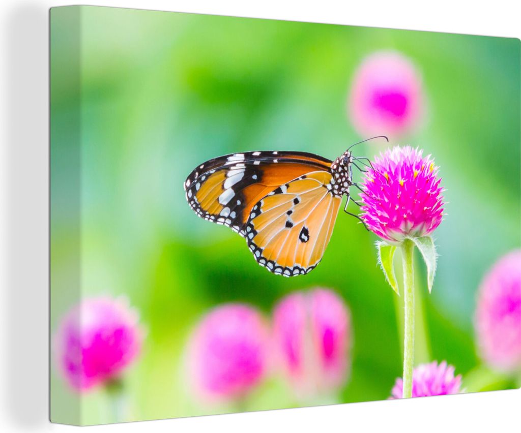 OneMillionCanvasses - Leinwandbilder - 150x100 cm, Landleben - Schmetterling - Distel - Blume, Wandbilder Kunstdruck Wanddekoration - Foto auf Le...