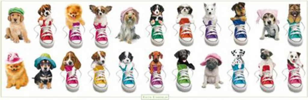 Poster Keith Kimberlin Baskets et Chapeaux avec Fixations Tesa x20