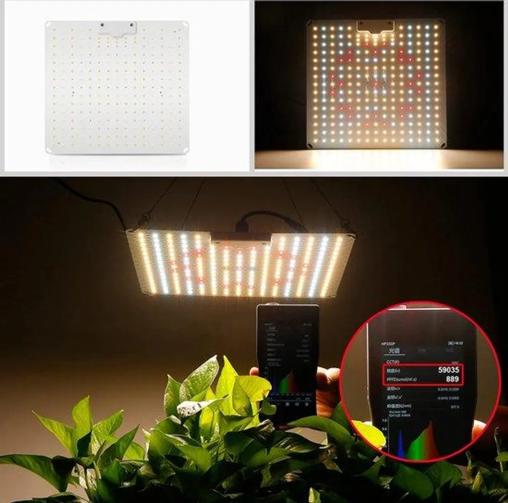 Lampe LED plantes Kas Spectre Complet - Éclairage jardin 100% efficace
