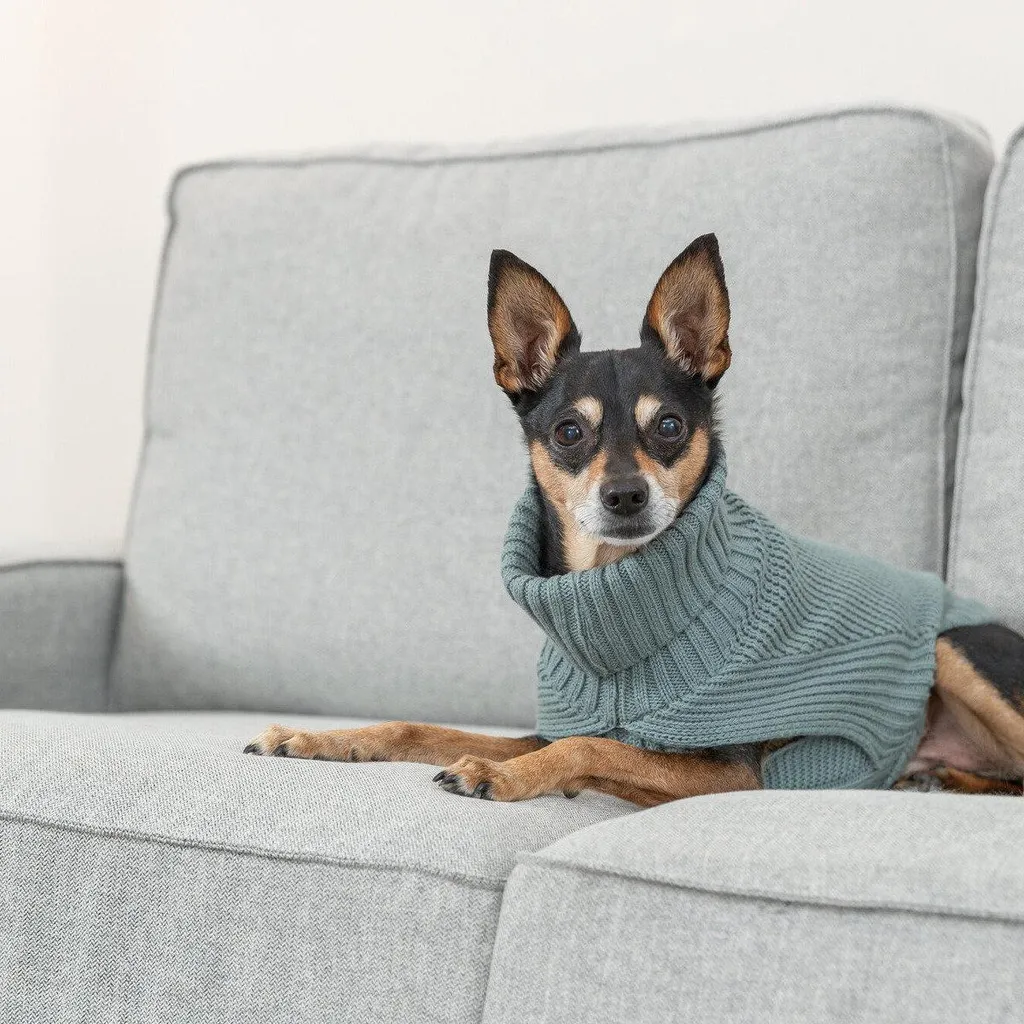 CityStyle Berlino Maglione Salvia: Outfit Pet di Tendenza 2026 - 4