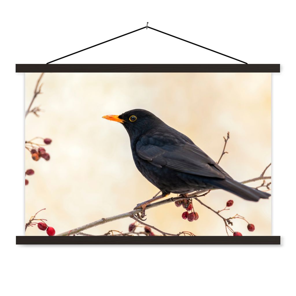 MuchoWow Textilposter Amsel - Vogel - Zweige - Beere - Rot 120x80 cm mit schwarzem Rahmen - Wanddeko