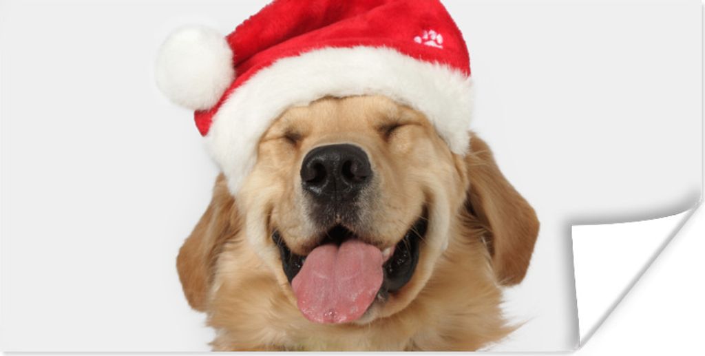 MuchoWow Poster Hund - Lustig - Lachen - Kinder - Jungen - Mädchen 120x60 cm - Bild