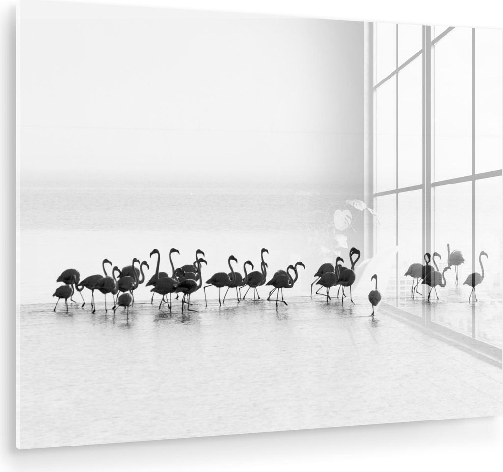 MuchoWow Glasbilder - Bilder auf Wandbild - Foto auf Glas Flamingos - Wasser - Natur - Schwarz und weiß 40x30 cm Wanddekoration aus Glas - Acrylgl...