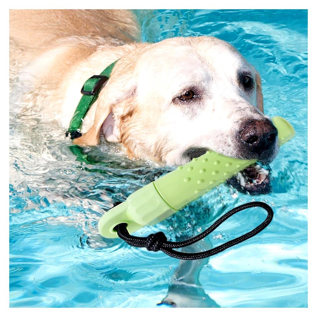 Hunde-Pool-Spielzeug – Schwimmspiel für Welpen, Seilapportieren, Kauspielzeug, schwimmend, Outdoor-Sommer-Spielzubehör, interaktives Zubehör f...