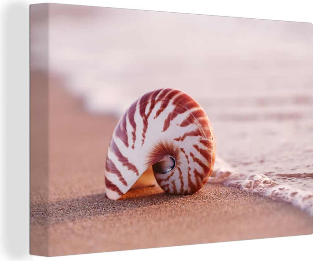 MuchoWow - Leinwandbilder - Muschel - Strand - Meer - Sand, Wandbild, Wanddeko Bilder Wohnzimmer, 120x80 cm