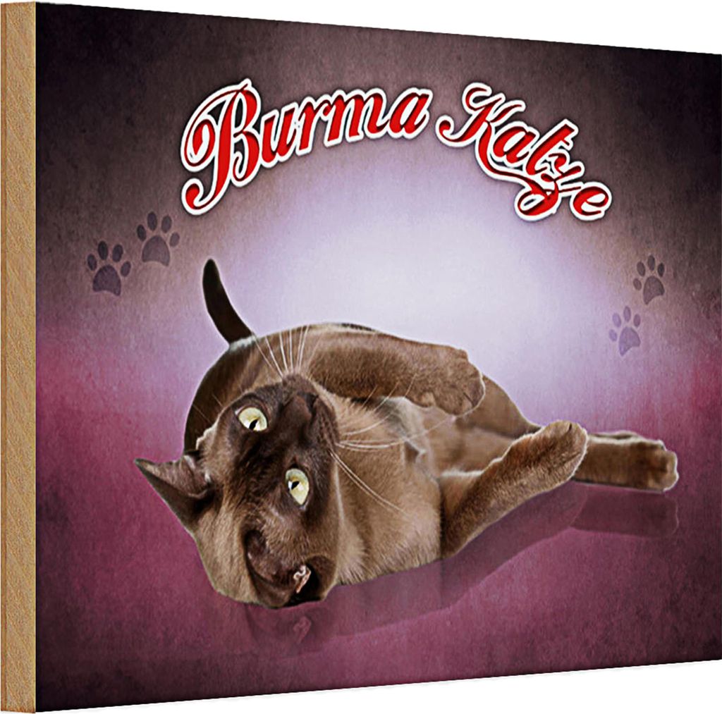 Holzschild Katze 30x20cm Burma Katze