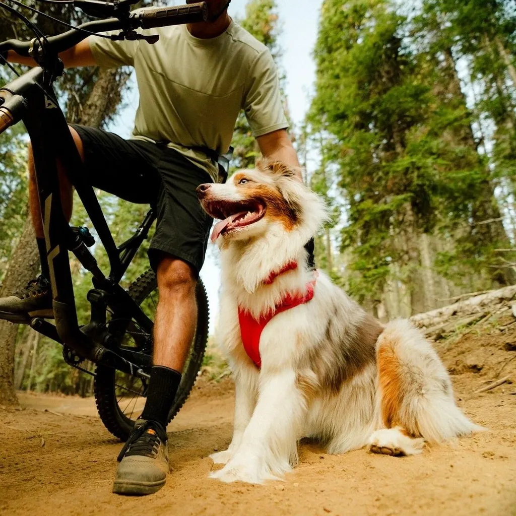 Collier Chien Confortable Ruffwear Front Range Flex Rose Anti-Irritation