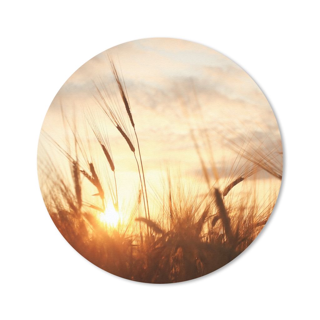 MuchoWow Mauspad Mousepad Schilf - Gras - Sonnenuntergang - Natur - Horizont 20x20 cm - Mousepads - Maus Mat - Pad - Mausunterlage - Schreibtisch...