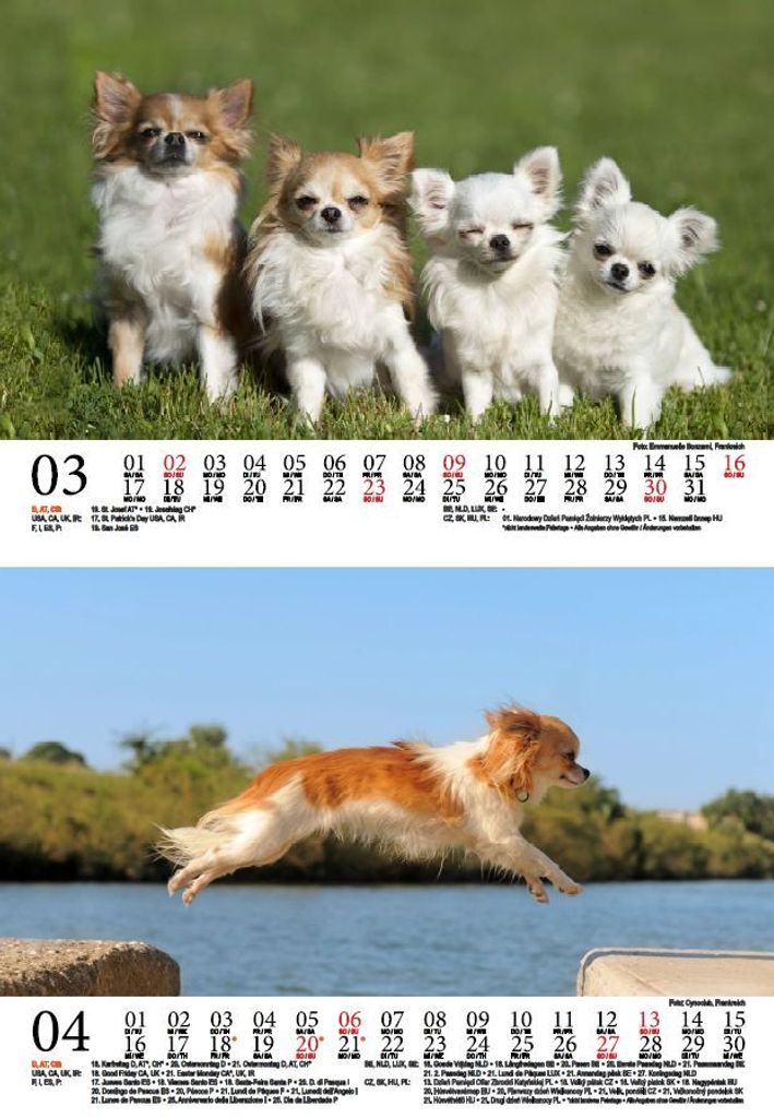 2024 Spaanse Kalender Lineaire Planner Voor Het Jaar Horizontale Kalender Sjabloon Tabel Schema Raster 171867 1910