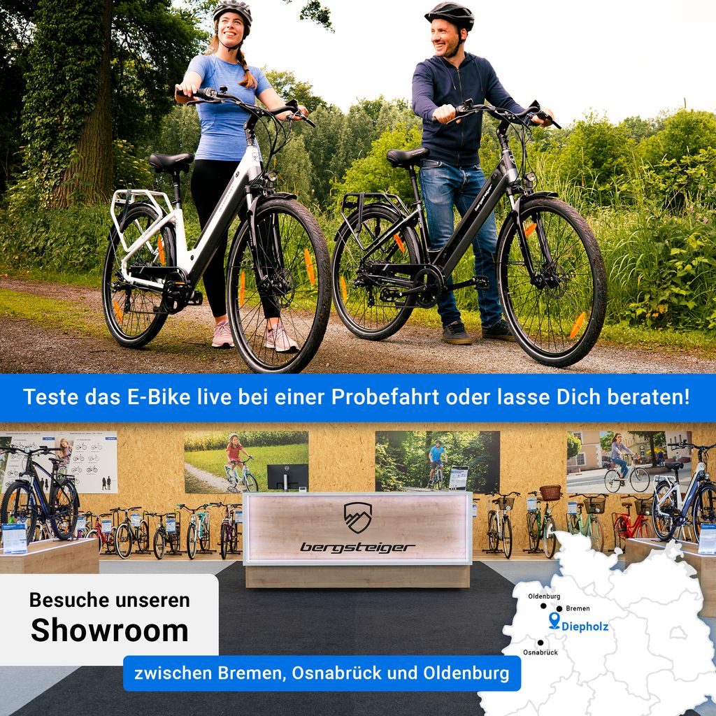 Bergsteiger Hampton 28 Zoll City E-Bike mit 250 Watt Motor, Produktbild 2