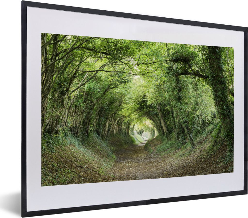 MuchoWow MuchoWow Gerahmtes Poster Wald - Baum - Tunnel 40x30 cm - Poster mit zchwarzem Bilderrahmen - Bilderrahmen - Poster im Rahmen