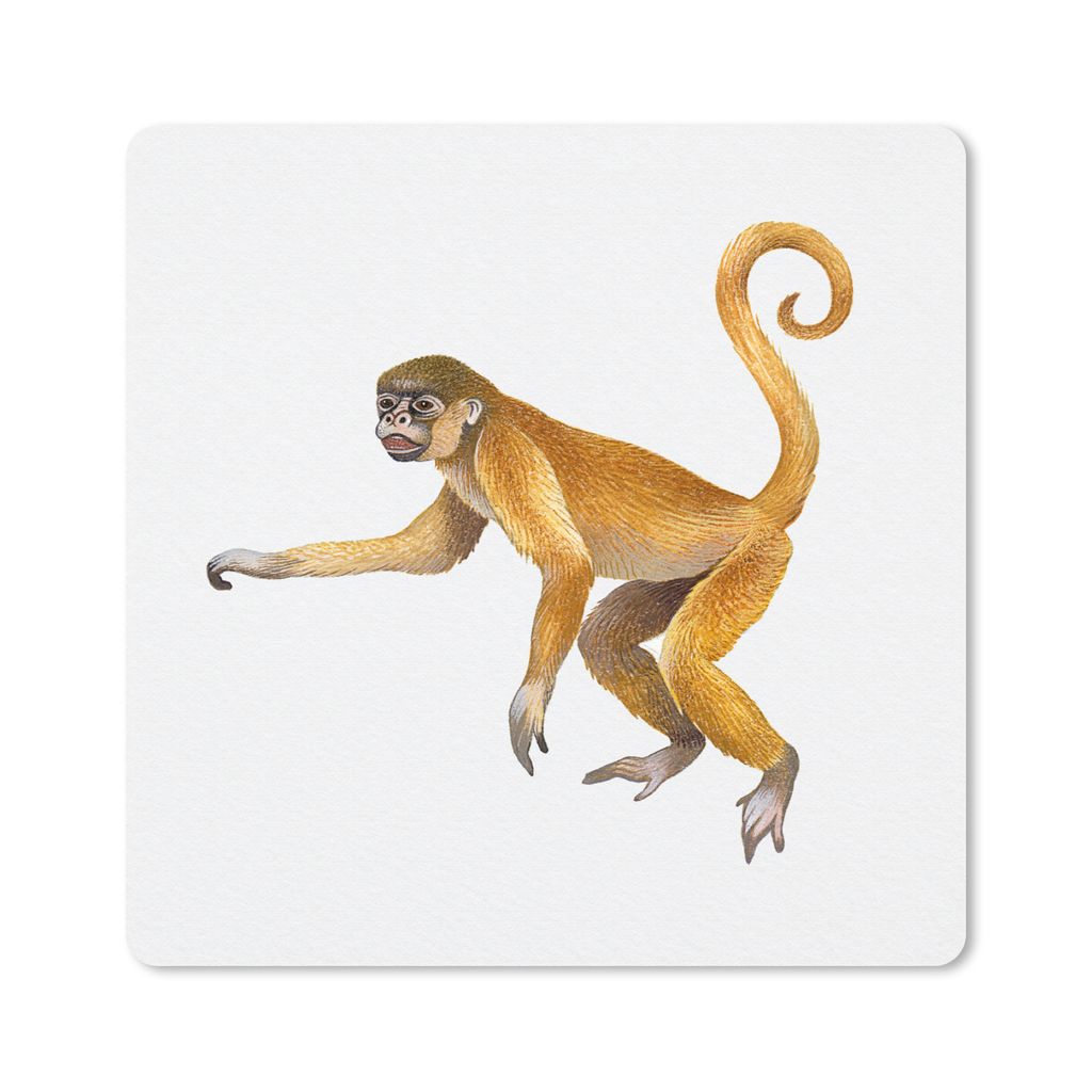 MuchoWow Mauspad Mousepad Affe - Fell - Aquarell 20x20 cm - Mousepads - Maus Mat - Pad - Mausunterlage - Desk Mat - Bureauartikeln