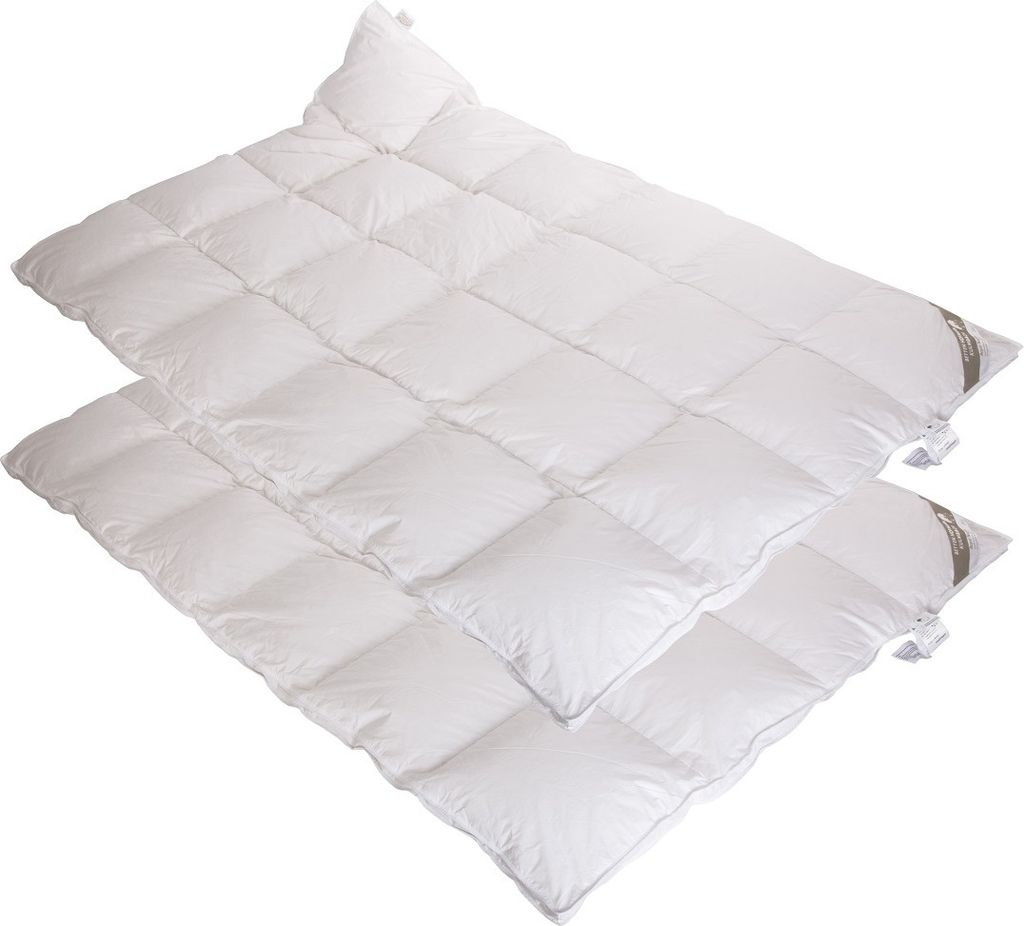 2 Stück Betten Hofmann Belladream Daunendecken Daunenbetten 4x6 135x200 100% Daunen Außensteg