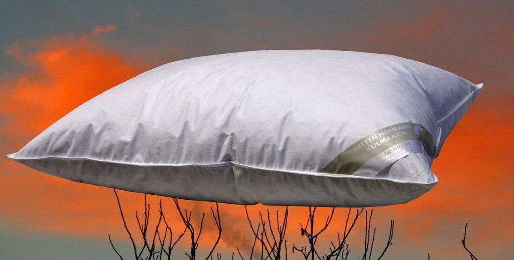 SCHWEIZ Kissen Kopfkissen Daunenkissen 65x100 cm 100 % Daunen flauschig weich 850 g medium