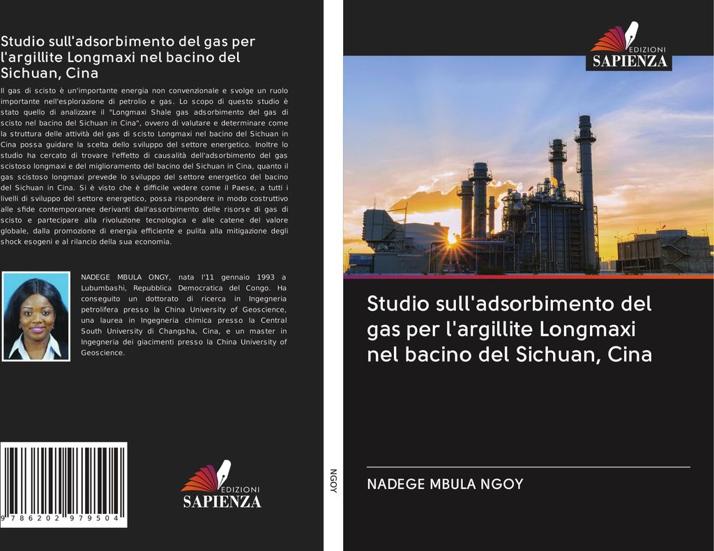 Studio sull'adsorbimento del gas per l'argillite Longmaxi nel bacino del Sichuan, Cina